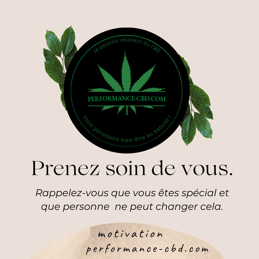 Le CBD : bienfaits, utilisations et législation - PERFORMANCE-CBD