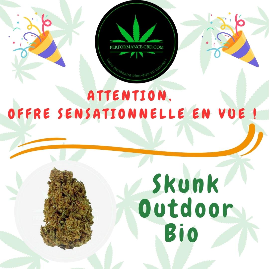 fleur Skunk cbd outdoor premium bio