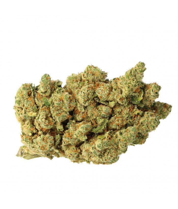 Amnesia 2.0 CBD hydroponique - Fleur de CBD premium cultivée en hydroponie, offrant une expérience relaxante et des arômes puissants.