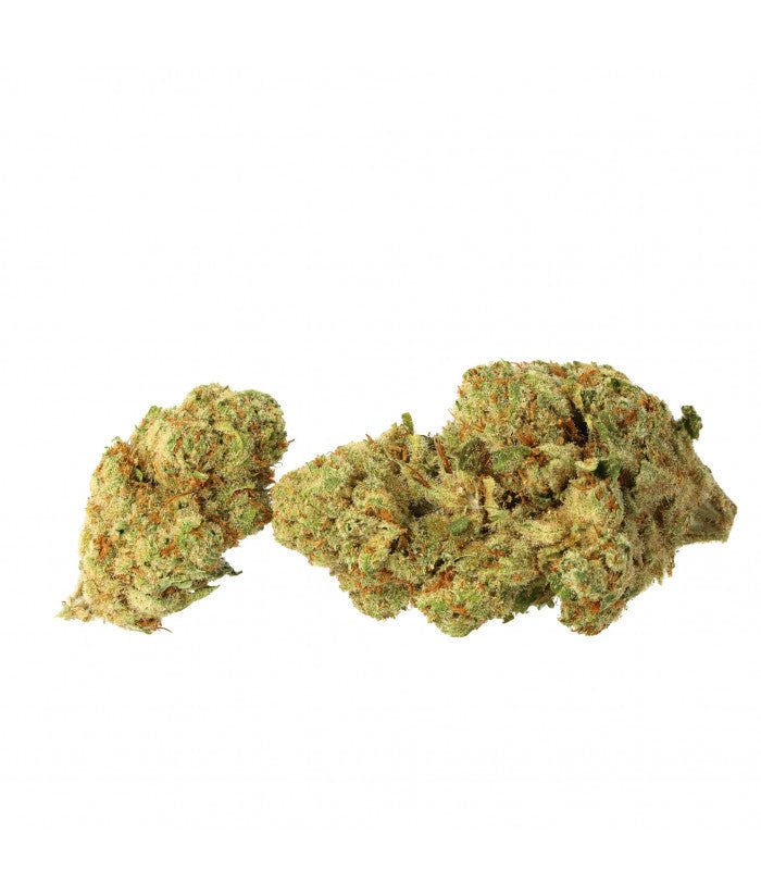 Amnesia 2.0 CBD hydroponique - Variété de CBD cultivée en hydroponie, garantissant une concentration élevée de CBD et une qualité exceptionnelle.