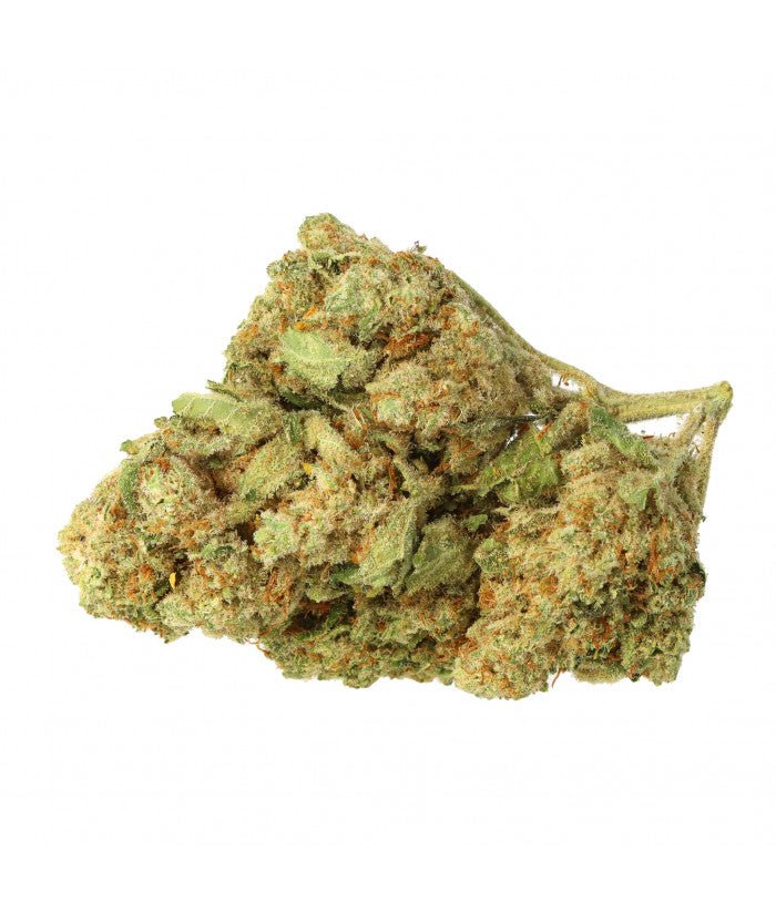 Amnesia 2.0 CBD hydroponique - Têtes de CBD de qualité supérieure cultivées en hydroponie, parfaites pour profiter des bienfaits naturels du CBD.