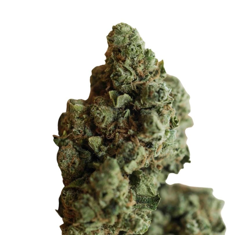 Amnésia | Fleurs Cbd Indoor Qualité Supérieure - PERFORMANCE-CBD