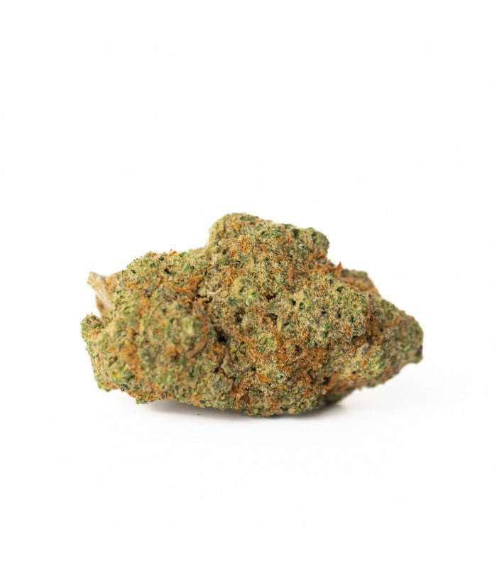 Fleur Blueberry CBD hydroponique - Variété premium de CBD cultivée avec soin en systÚme hydroponique, offrant une expérience unique et des arÎmes délicieux