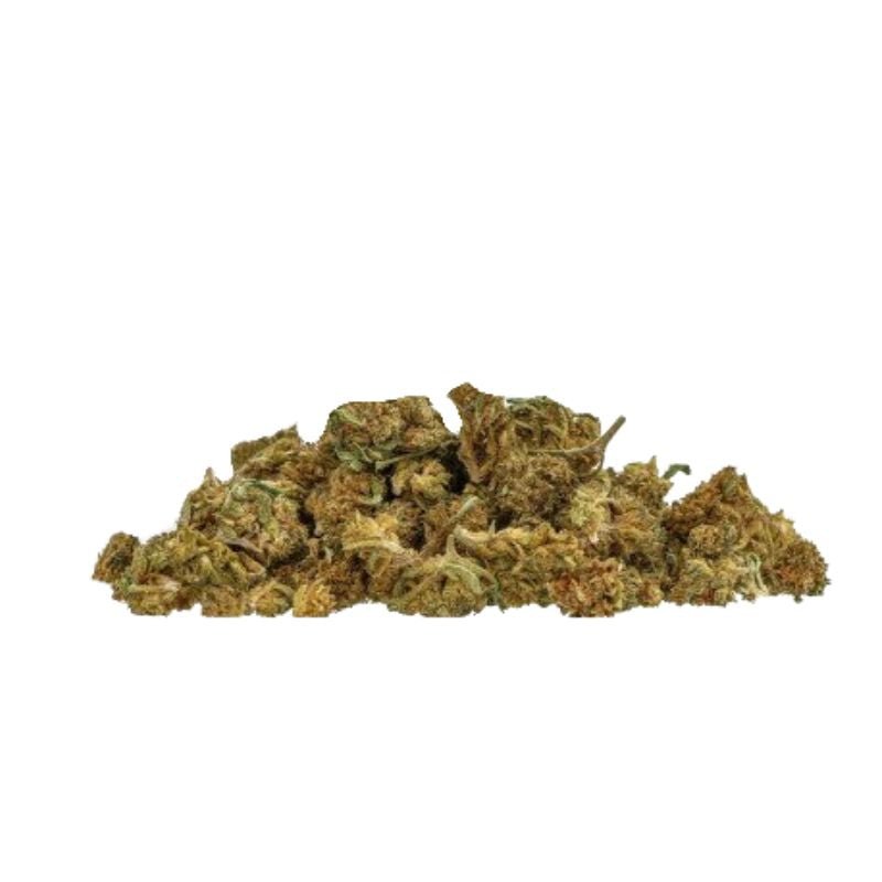 Bubble Gum Small Bud - Greenhouse - PERFORMANCE-CBD