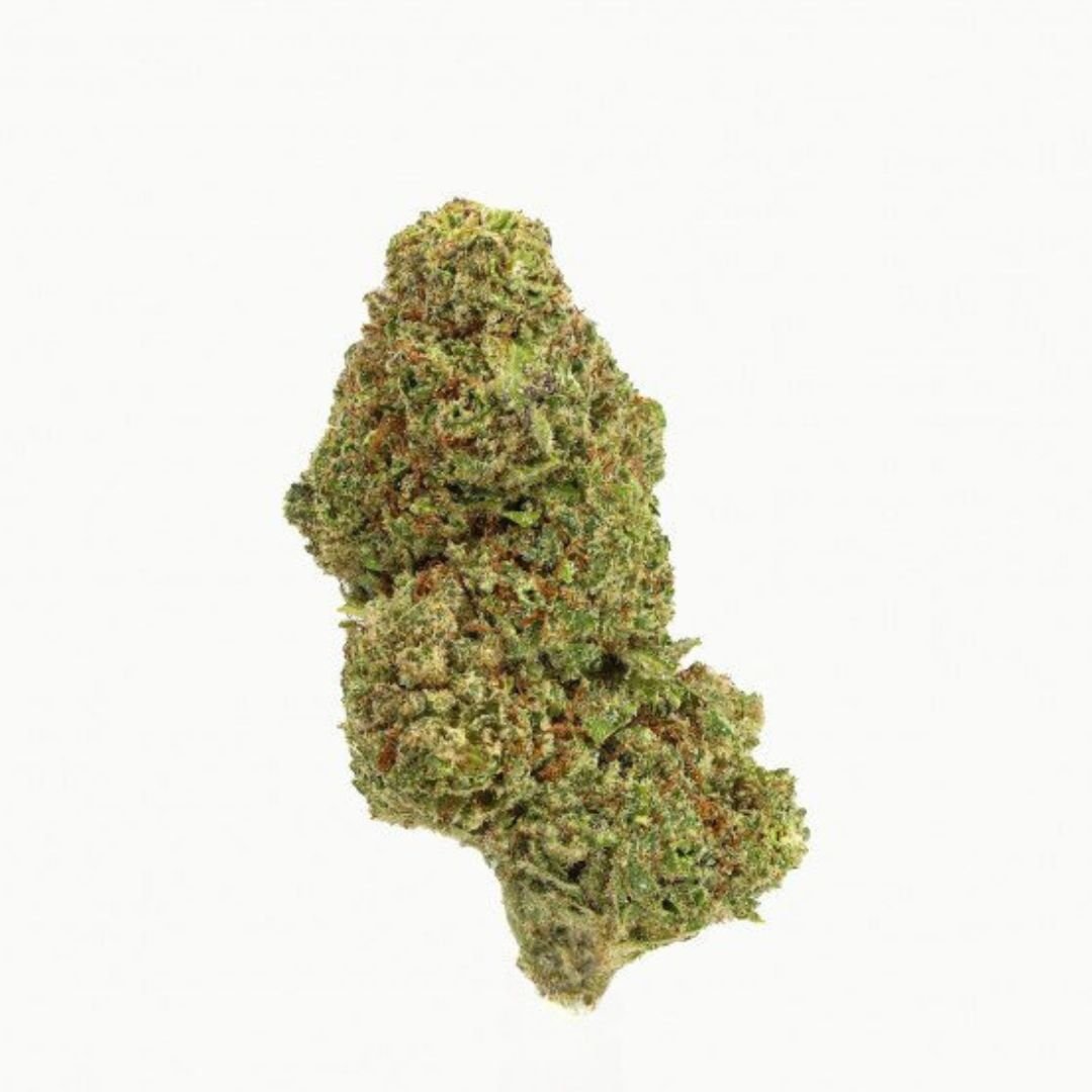 Bubblegum | Fleurs CBD Hydroponie Premium - PERFORMANCE-CBD