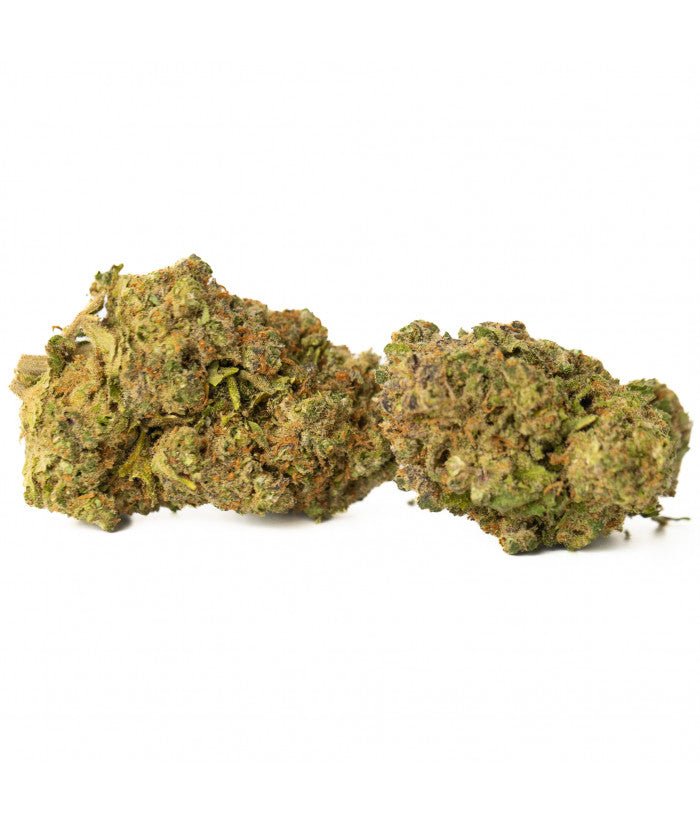 leurs CBD Ice Cream hydroponiques. Saveurs crémeuses et relaxantes pour une expérience unique.