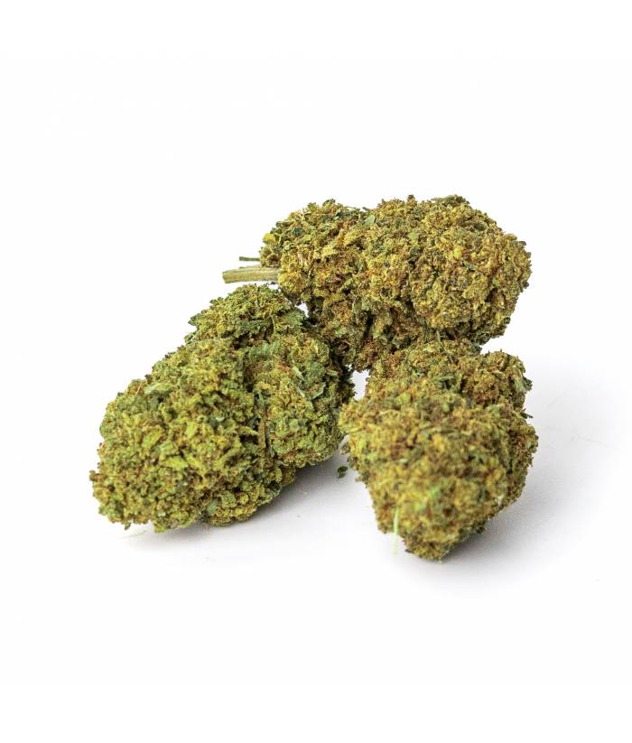Fleurs CBD Bruce Banner cultivées en Green House. Profitez d'une puissance exceptionnelle et d'une expérience énergisante avec cette variété unique.