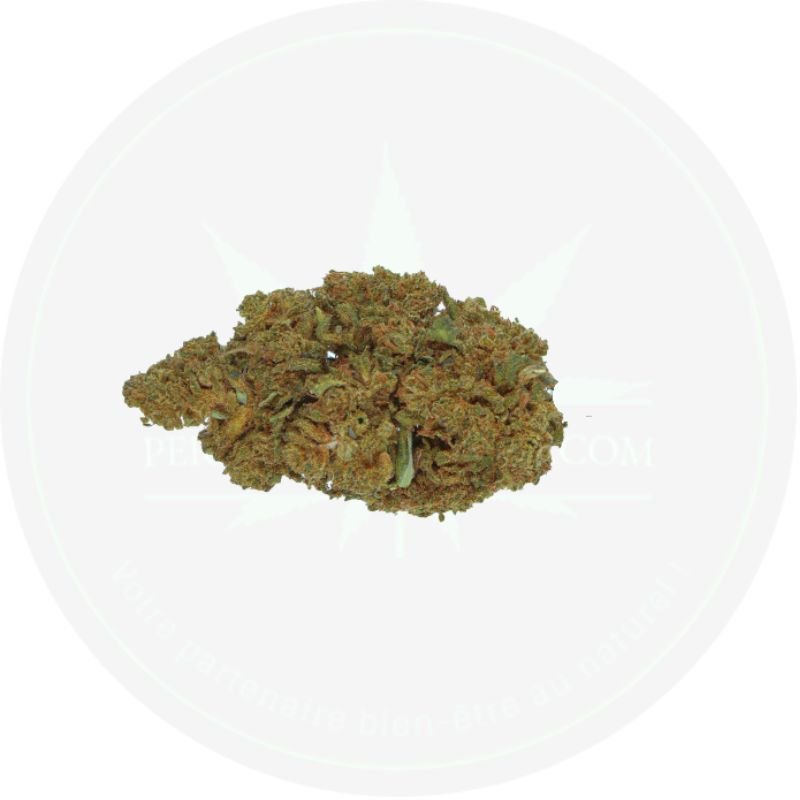 Mango CBD Green House - PERFORMANCE-CBD