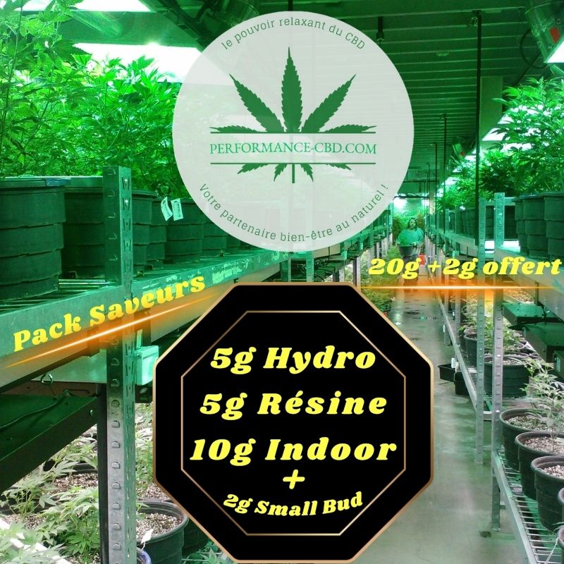 Pack CBD Découverte : Hydro 5g, Résine 5g, Indoor 10g et 2g de Small Bud offerts. Découvrez une sélection variée de produits CBD dans ce pack complet, idéal pour une expérience diversifiée et satisfaisante.
