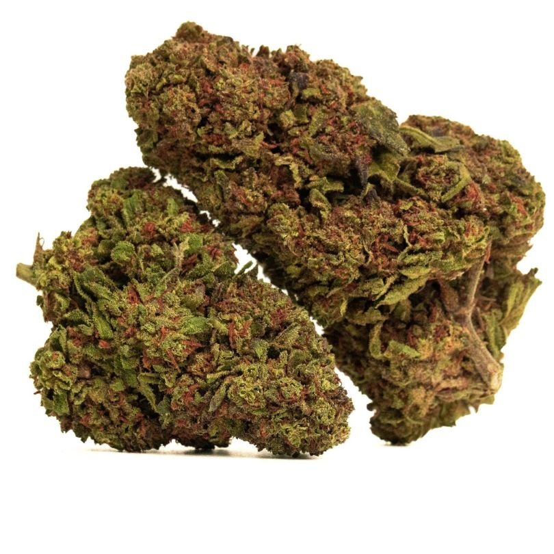 Purple Skunk Fleurs CBD Green House Premium - PERFORMANCE-CBD