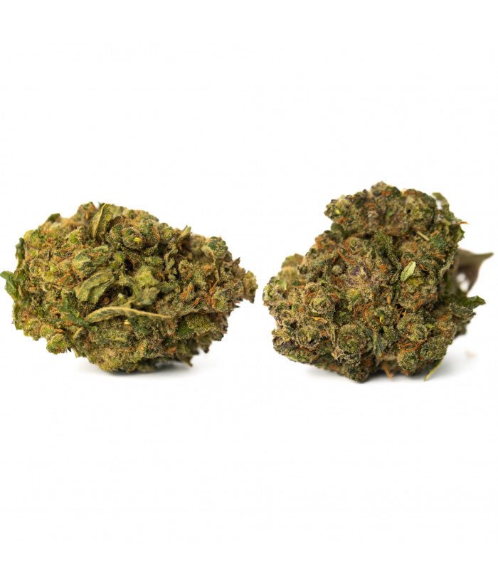 CBD Shortcake Strawberry en hydroponie : Découvrez notre variété de CBD Shortcake Strawberry cultivée avec soin en hydroponie. Savourez les saveurs fruitées et profitez des bienfaits relaxants de cette fleur de CBD premium.