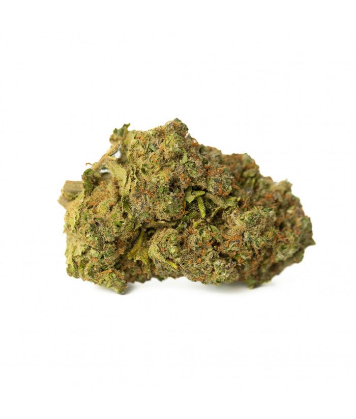 Vue rapprochée du CBD Shortcake Strawberry en hydroponie : Admirez la beauté de notre CBD Shortcake Strawberry cultivé en hydroponie. Cette variété offre des arÎmes fruités intenses et une expérience CBD de qualité supérieure.