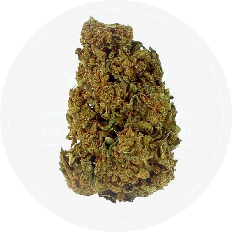 Skunk CBD Outdoor Bio - PERFORMANCE-CBD