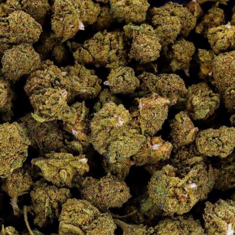 Small Bud Hydro Ice Cream CBD - PERFORMANCE-CBD