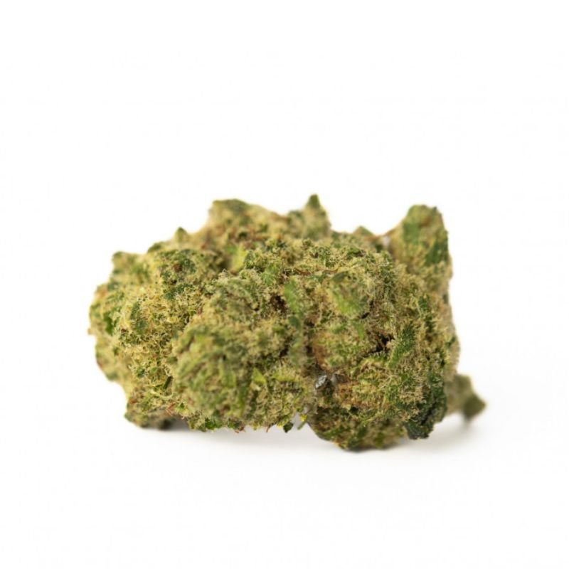 Small Bud Hydro Ice Cream CBD - PERFORMANCE-CBD