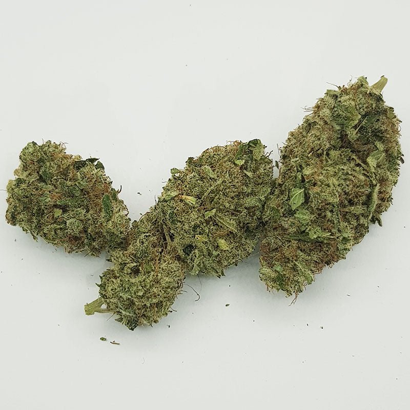 White Widow CBD en culture indoor : Explorez notre variété de White Widow CBD cultivée avec soin en indoor. Découvrez ses têtes denses et résineuses, offrant un profil aromatique unique mêlant des notes florales et épicées. Plongez dans une expérience CBD exceptionnelle avec notre White Widow en culture indoor, garantissant une qualité premium et des effets relaxants.